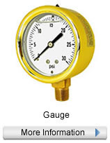 Pressure Gauges, Bi-metal thermometers, Industrial and Sanitary Seals.