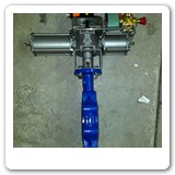 Morin actuator and butterfly valve assembly