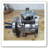SS ball valve
