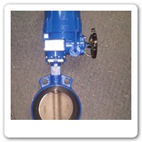 Deltech butterfly valve with 2E Electric actuator